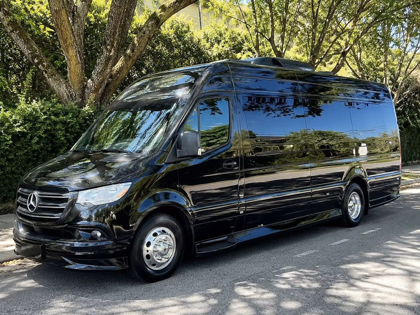 sprinter van with driver